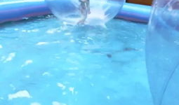 哆哆短视频,轻松愉悦，畅享欢乐时光