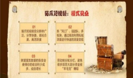 猫爪短视频剧本,猫爪短视频剧本揭秘